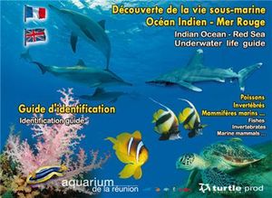 Découverte de la vie sous-marine Océan Indien - Mer Rouge