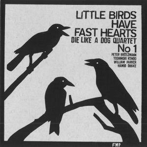Little Birds Have Fast Hearts No.1 (Live)