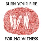 Pochette Burn Your Fire for No Witness