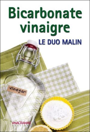 Bicarbonate vinaigre