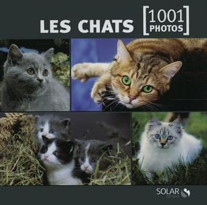 Les chats en 1001 photos