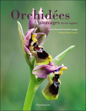 Orchidées sauvages de nos régions