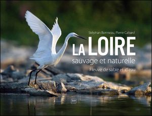 La Loire sauvage et naturelle : un fleuve de sable et d'eau