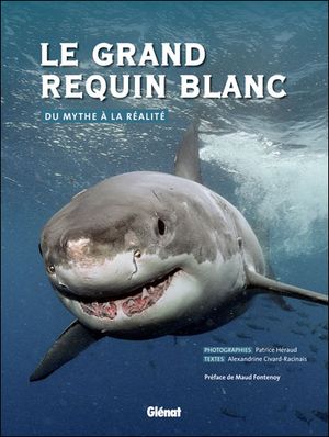Le grand requin blanc : du mythe à la réalité