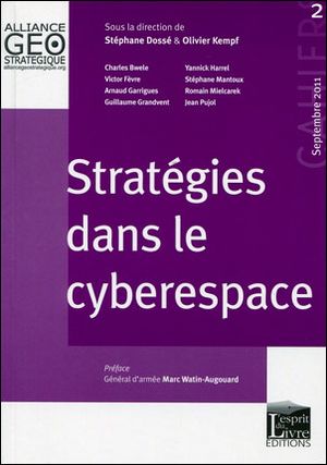 Stratégies dans le cyberespace