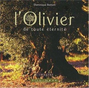 L'olivier de toute éternité