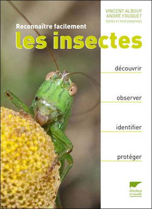 Reconnaître facilement les insectes