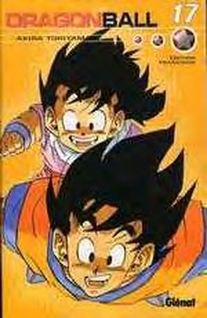 Dragon Ball (Intégrale), tome 17