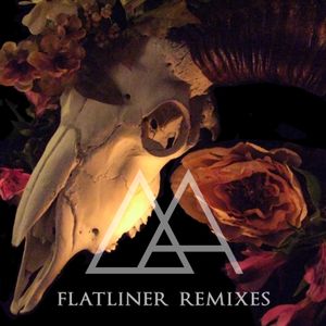 mirrors fade (Darkforce Complex remix)