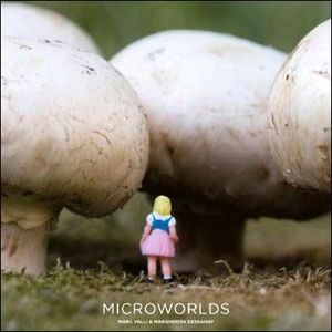 Microworlds