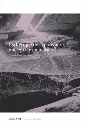 Esthétique de la poussière : une entrée en matière