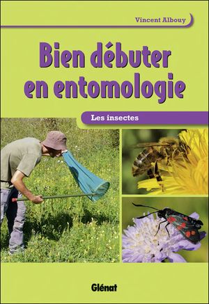 Les insectes : bien débuter en entomologie