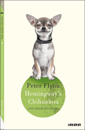 Hemingway’s chihuahua