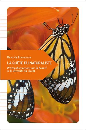 La quête du naturaliste : petites observations sur la beauté et la diversité du vivant