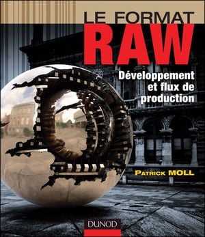 Le format RAW développement et flux de production