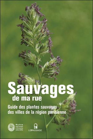 Sauvages de ma rue