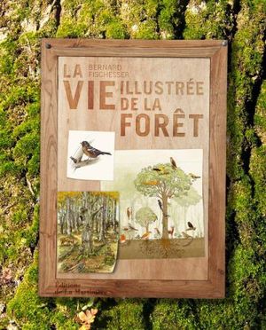 Vie illustrée de la forêt