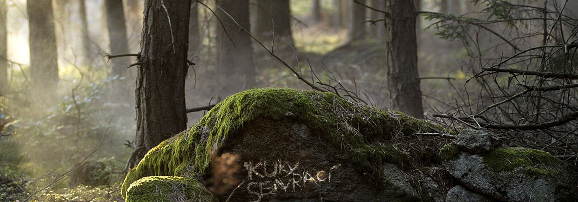 Cover Kooky
