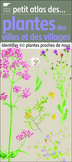 Petit atlas des plantes des villes et des villages