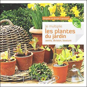 Je multiplie les plantes du jardin