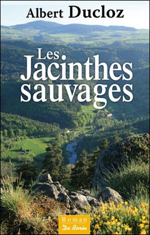 Les jacinthes sauvages