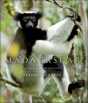 Madagascar, la forêt de nos ancêtres