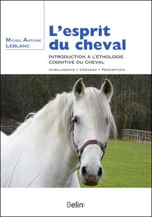 L'esprit du cheval