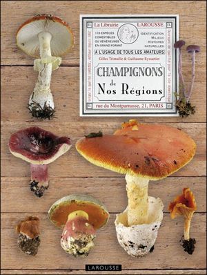 Champignons