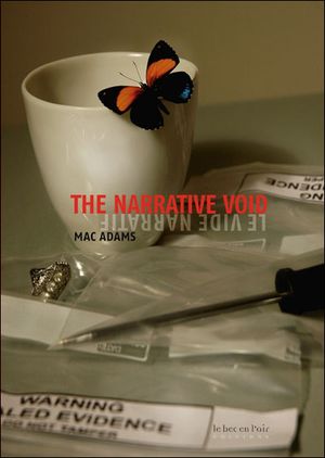 The narrative void, le vide narratif