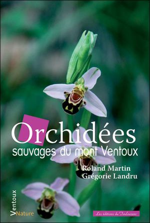 Orchidées sauvages du Mont Ventoux
