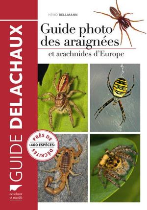 Guide photo des araignées et autres arachnides d'Europe