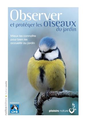 Observer et protéger les oiseaux du jardin