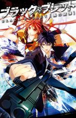Affiche Black Bullet Affiche Black Bullet