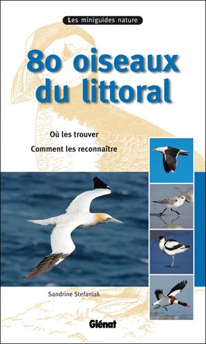 80 oiseaux du littoral