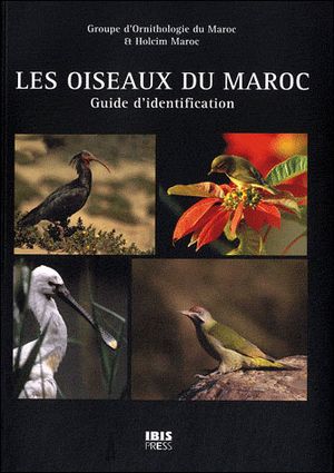 Les oiseaux du Maroc