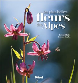 Les plus belles fleurs des Alpes