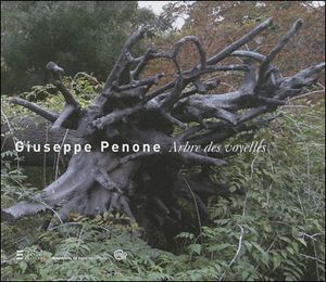 Giuseppe Penone au Louvre, l'arbre des voyelles