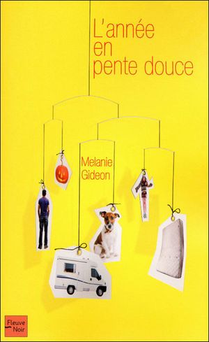 L'année en pente douce