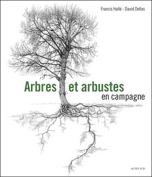 Arbres et arbustes en campagne