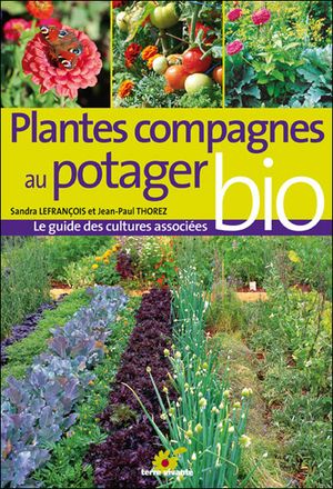 Plantes compagnes au potager bio