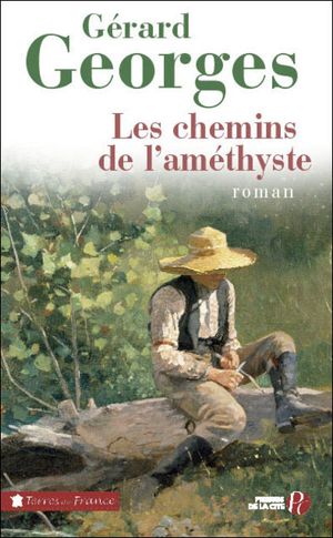 Les chemins de l'améthyste