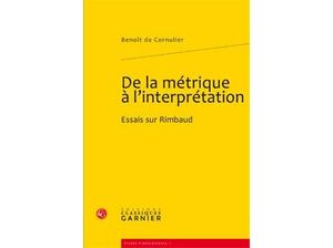 De la métrique à l'interprétation