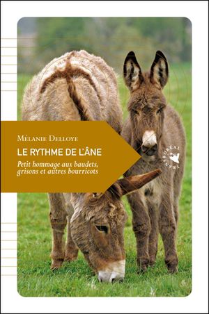 Le rythme de l'âne