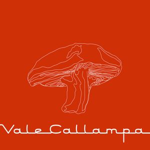 Vale callampa (EP)