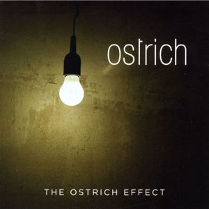 The Ostrich Effect