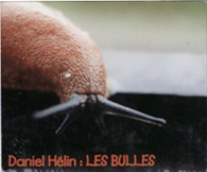 Panne de courant