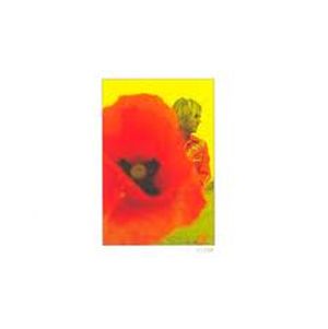 In the Poppy Fields: Bond, No. 1 (Close)