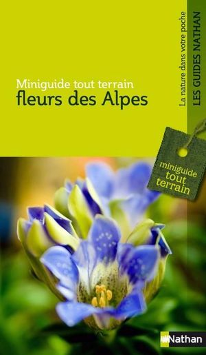 Fleurs des Alpes