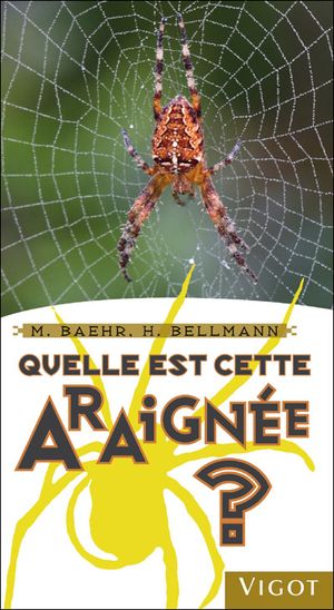 Quelle est cette araignée ?