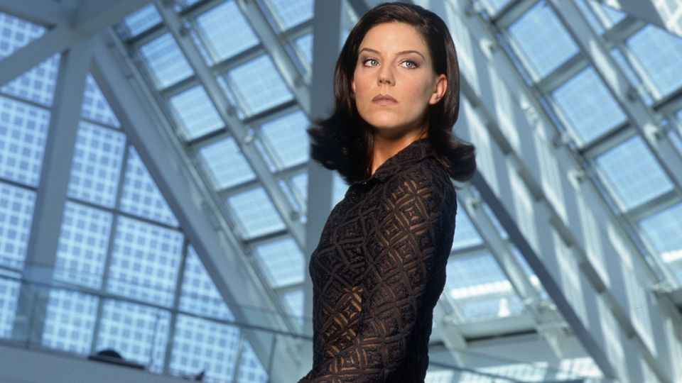 Affiches, posters et images de Le Caméléon (1996) SensCritique